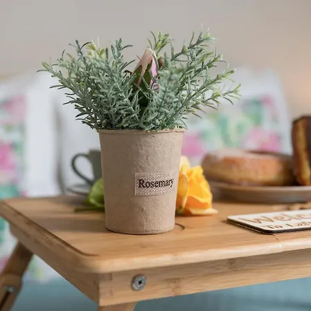 Appartamento Floral With Lux Extras & Special Treats Kolymbari